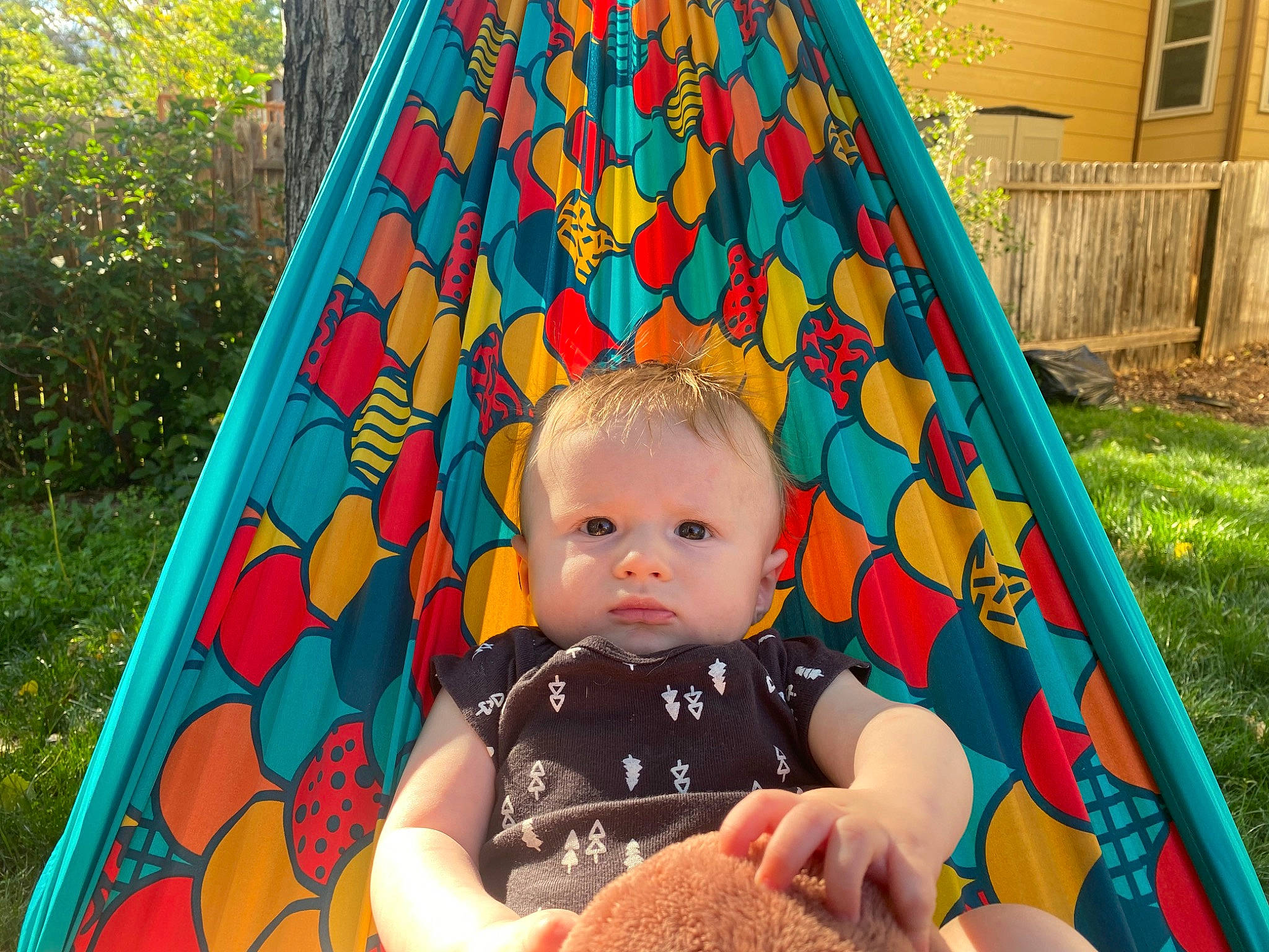 Max is registered to the contest to win money with this photo: baby, baby_toddler_clothing, child, fun, grass, green, happy, leaf, leisure, nature, pattern, people_in_nature, person, photograph, plant, recreation, shade, toddler, tree, window