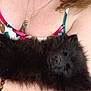Aribo participe au concours pour gagner de l'argent avec cette photo : animal, arms, black_dog, bracelet, closeup, clothing, comfort, couch, cute, dog, fluffy, fur, holding, indoor, necklace, person, pet, relaxation, resting, sleeping