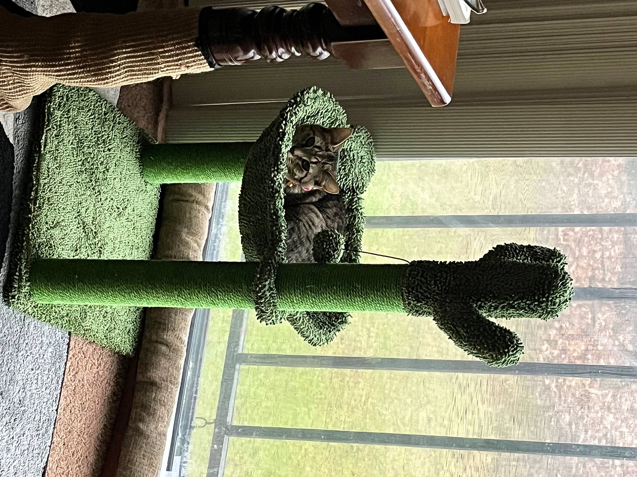 Anya joined the competition — help win amazing prizes! art, artifact, building, creative_arts, cross, facade, metal, rectangle, religious_item, sculpture, shadow, square, statue, still_life_photography, symbol, symmetry, tints_and_shades, visual_arts, window, wood