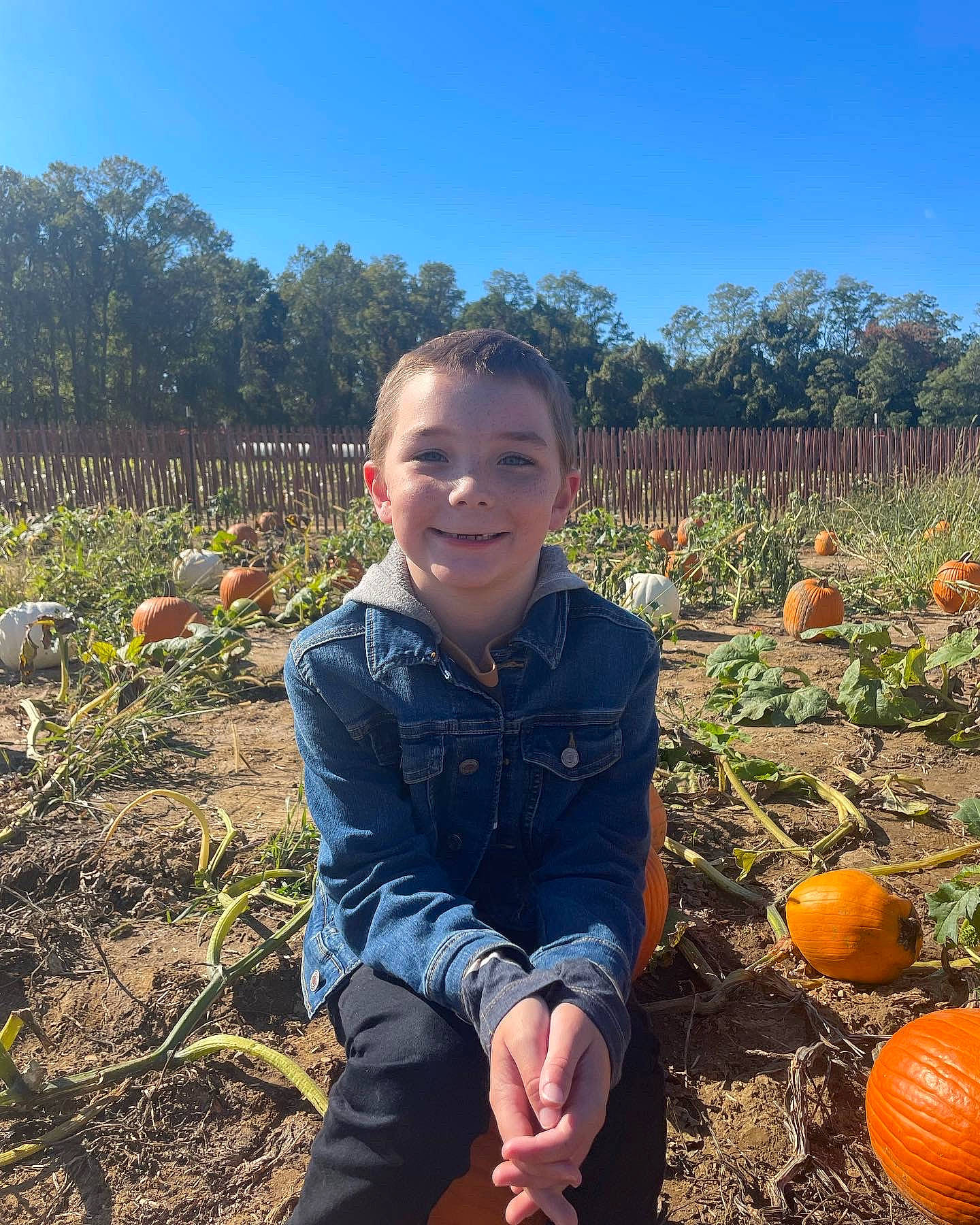 Caleb is registered to the contest to win money with this photo: agriculture, calabaza, cucurbita, field, gourd, grass, happy, joy, landscape, leaf, natural_foods, people, people_in_nature, person, plant, pumpkin, sky, smile, squash, tree