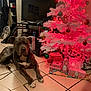 dog, christmas_tree, presents, indoor, tile_floor, decorations, red_lights, white_tree, holiday, gift_wrap, living_room, fan, television, furniture, pet, animal, relaxed, festive, celebration, ornaments