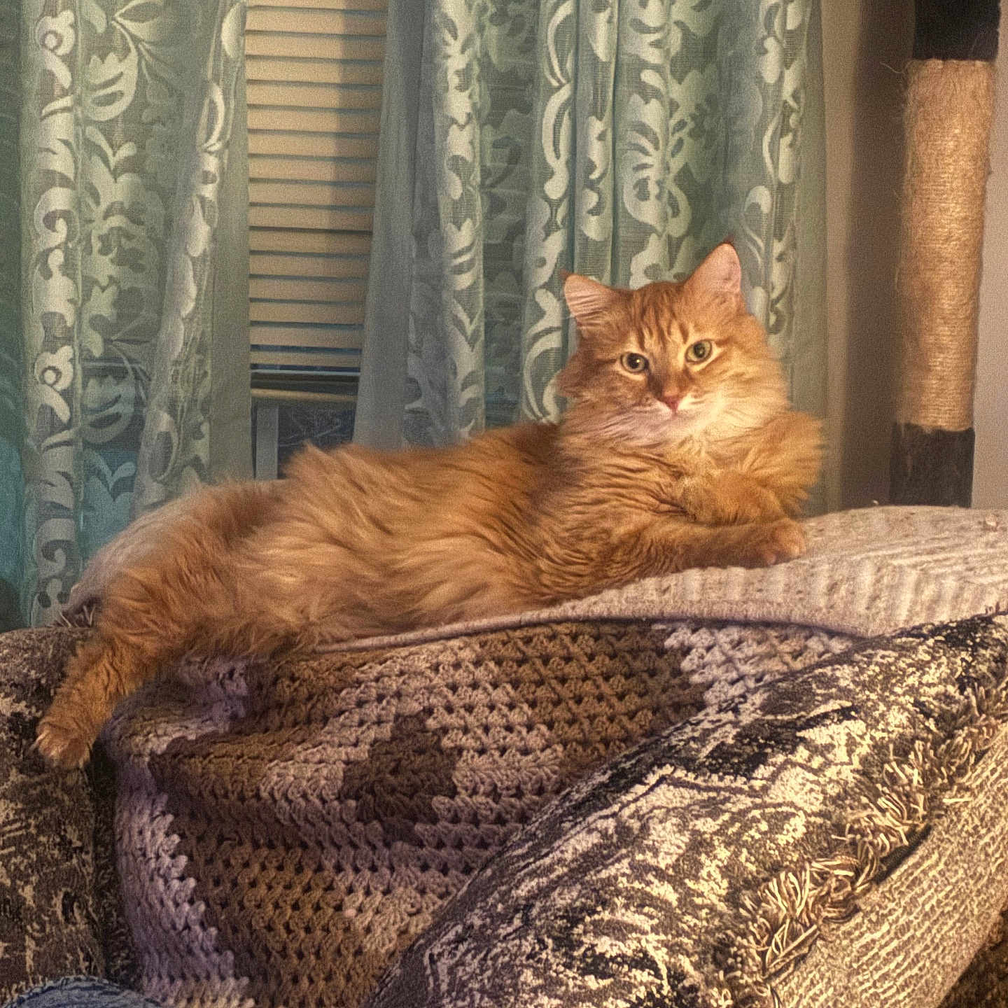 Fred