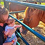 baby, adult, horse, animal, petting_zoo, fence, outdoor, sunlight, nature, grass, hay, interaction, child, holding, curious, mammal, person, daylight, touching, portrait