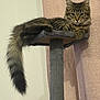 cat, tabby, fluffy_tail, cat_tree, indoor, pet, feline, relaxed, resting, curtain, pink, furniture, domestic_animal, cute, animal, long_tail, soft_light, cozy, sleepy, whiskers