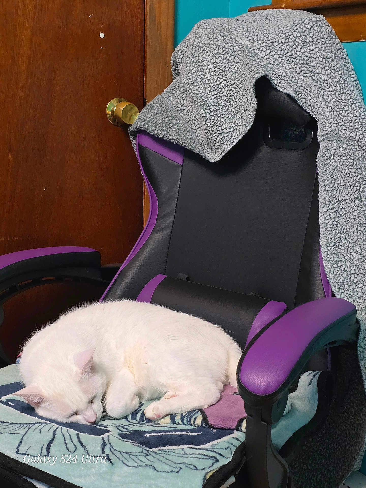 Olaf