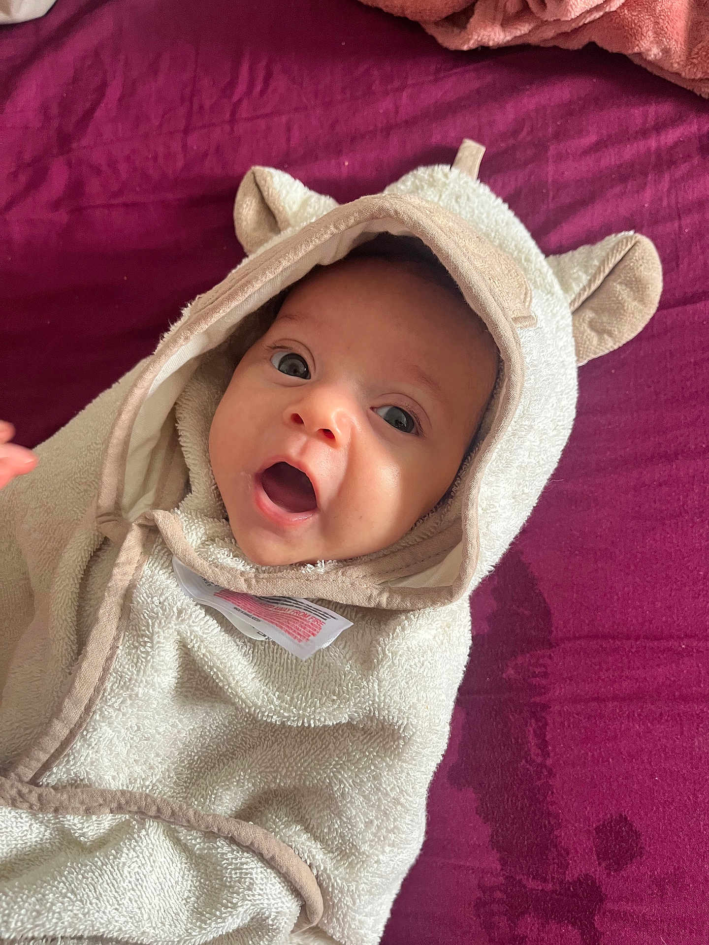 éline a rejoint le concours — aidez-le/la à gagner de superbes lots ! baby, infant, hooded_towel, towel, purple_background, face, eyes, mouth_open, cute, cozy, soft, wrapped, child, person, bed, fabric, ear_hood, expression, skin, smiling