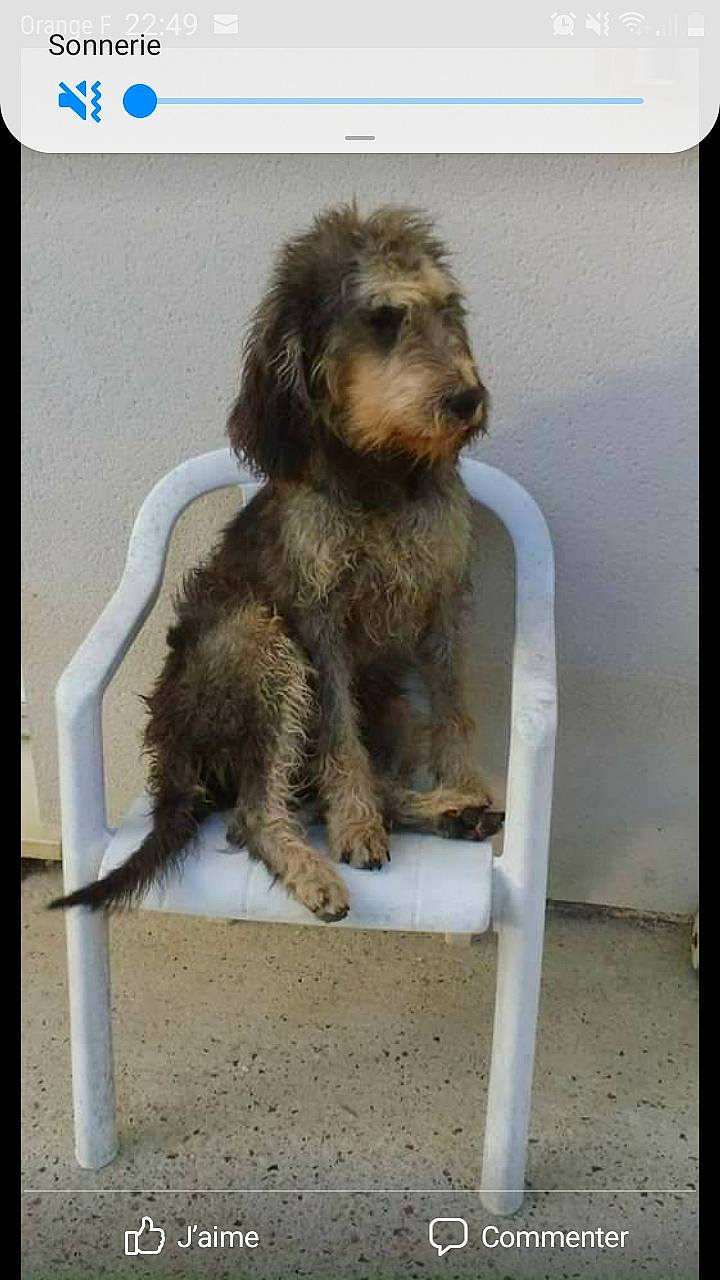 Jamaïque Du Haut Villageot