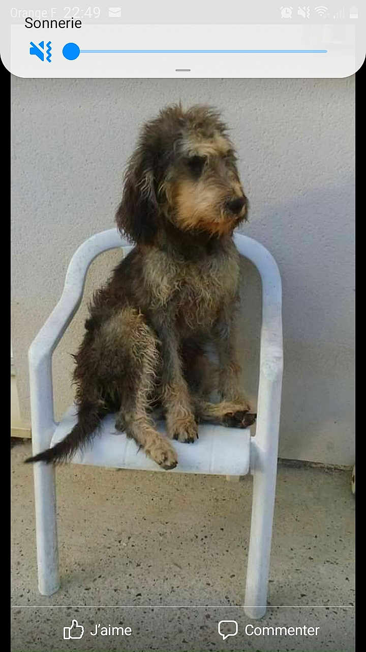 Jamaïque Du Haut Villageot