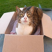 Tyzef participe au concours pour gagner de l'argent avec cette photo :