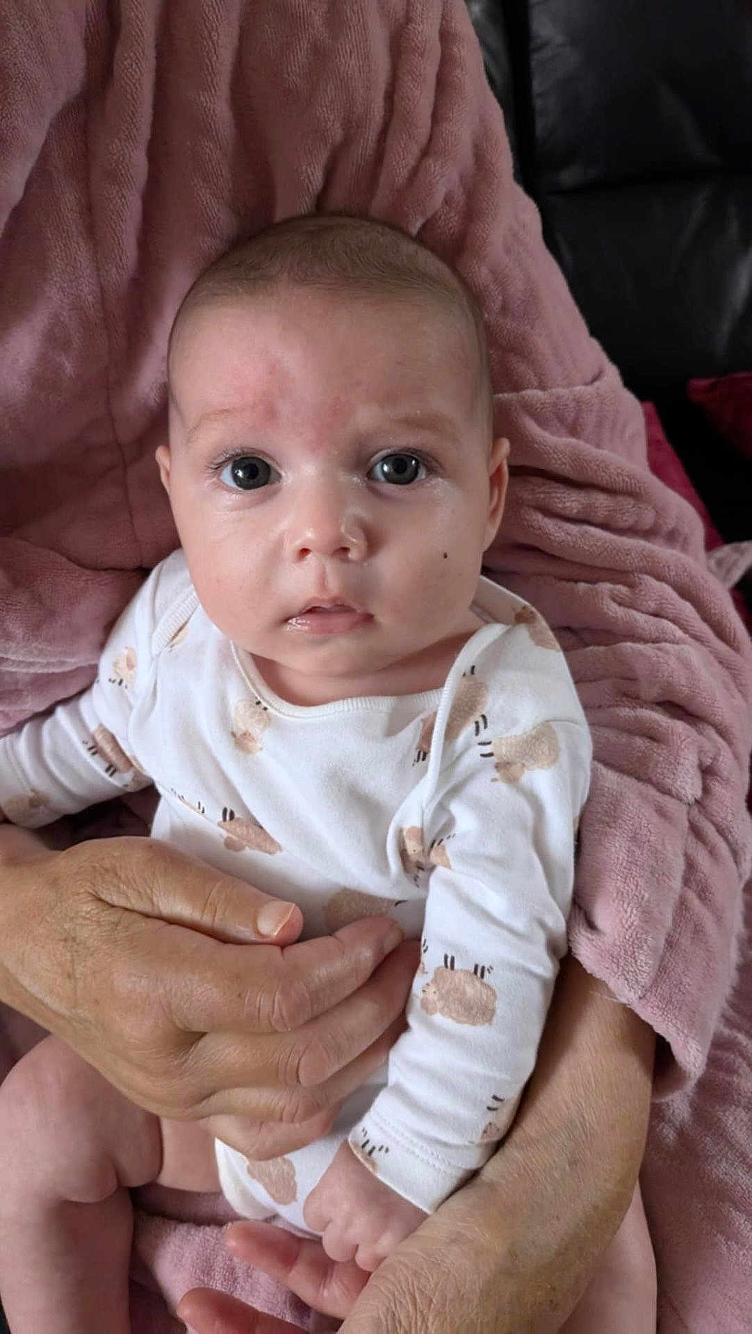 Mila joined the competition — help win amazing prizes! baby, infant, onesie, sheep_pattern, blanket, pink, hands, adult, holding, skin, face, eyes, expression, indoor, clothing, person, couch, comfort, portrait, cute