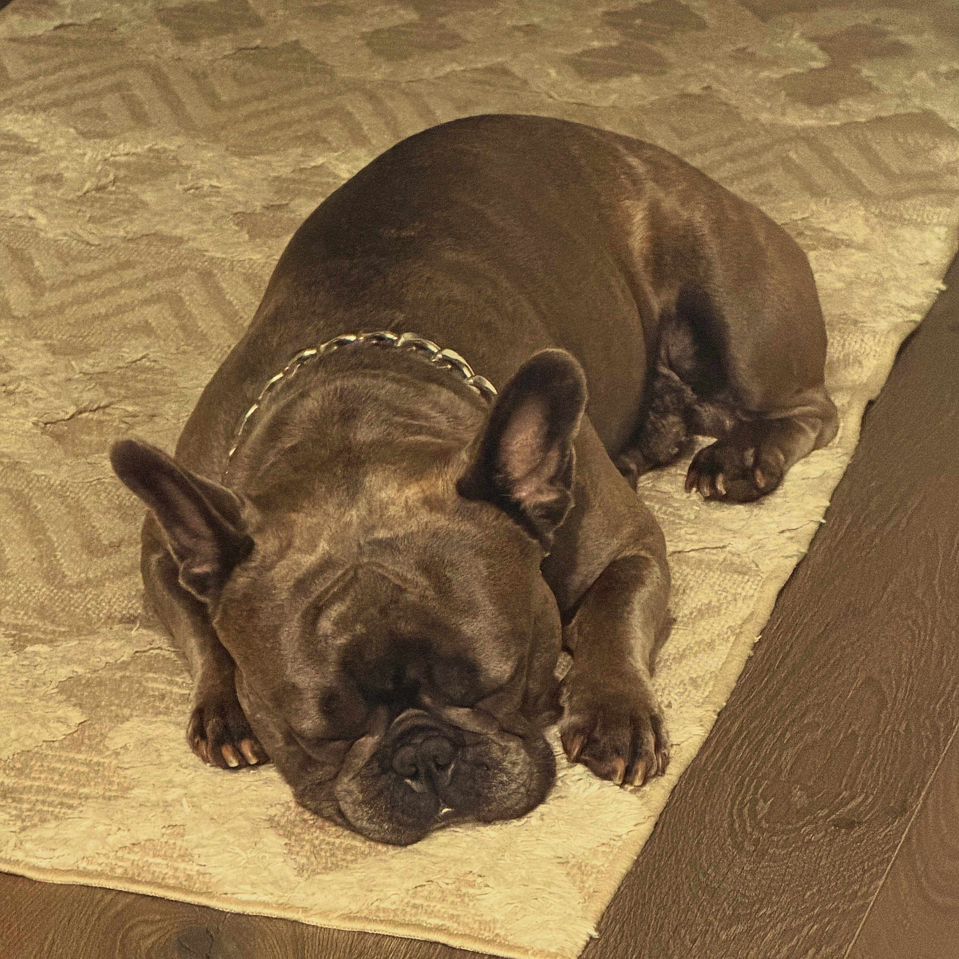 Bruno