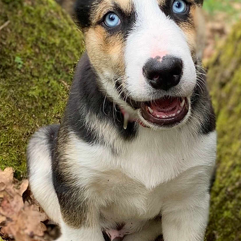Uhtred
