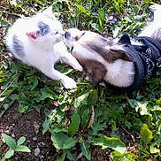 Chanel a rejoint le concours — aidez-le/la à gagner de superbes lots !