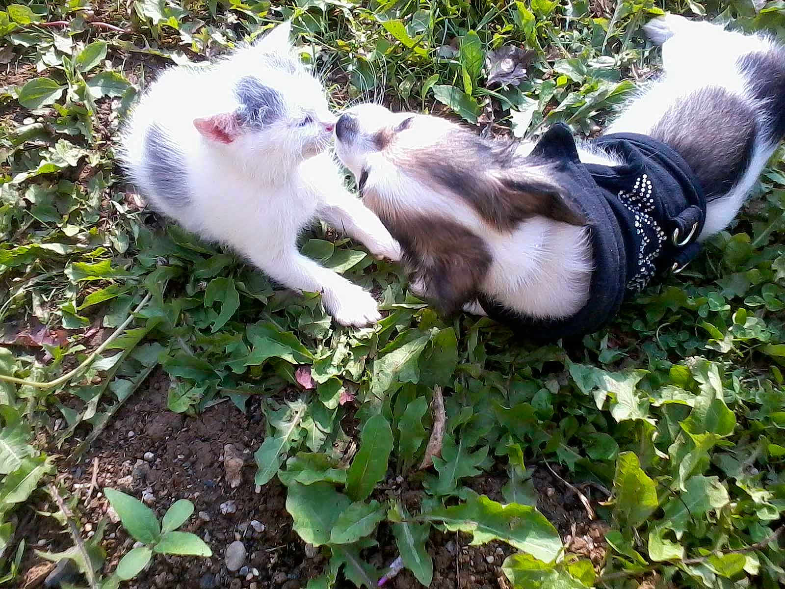 Chanel a rejoint le concours — aidez-le/la à gagner de superbes lots !