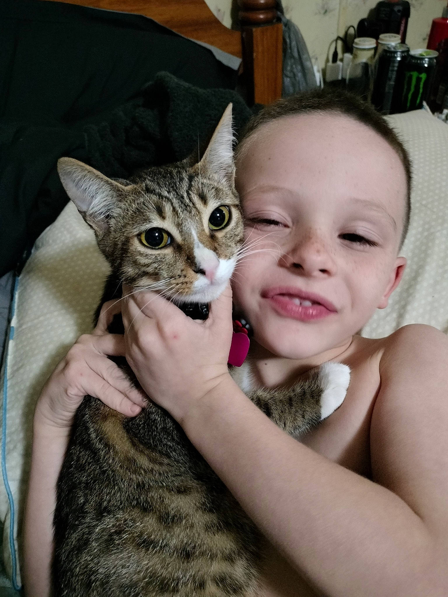 Cobra Mustang joined the competition — help win amazing prizes! carnivore, cat, child, claw, domestic_short_haired_cat, fashion_accessory, fawn, felidae, fur, gesture, hand, happy, hug, nail, paw, small_to_medium_sized_cats, smile, toddler, whiskers, wildlife