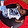 Yassir