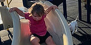 Armani is registered to the contest to win money with this photo: black_shorts, black_surface, child, clothing, daylight, dog, fun, outdoor, park, pet, plastic_slide, play_equipment, playground, red_shirt, shadow, shoes, slide, sunlight, toddler, yellow_rails