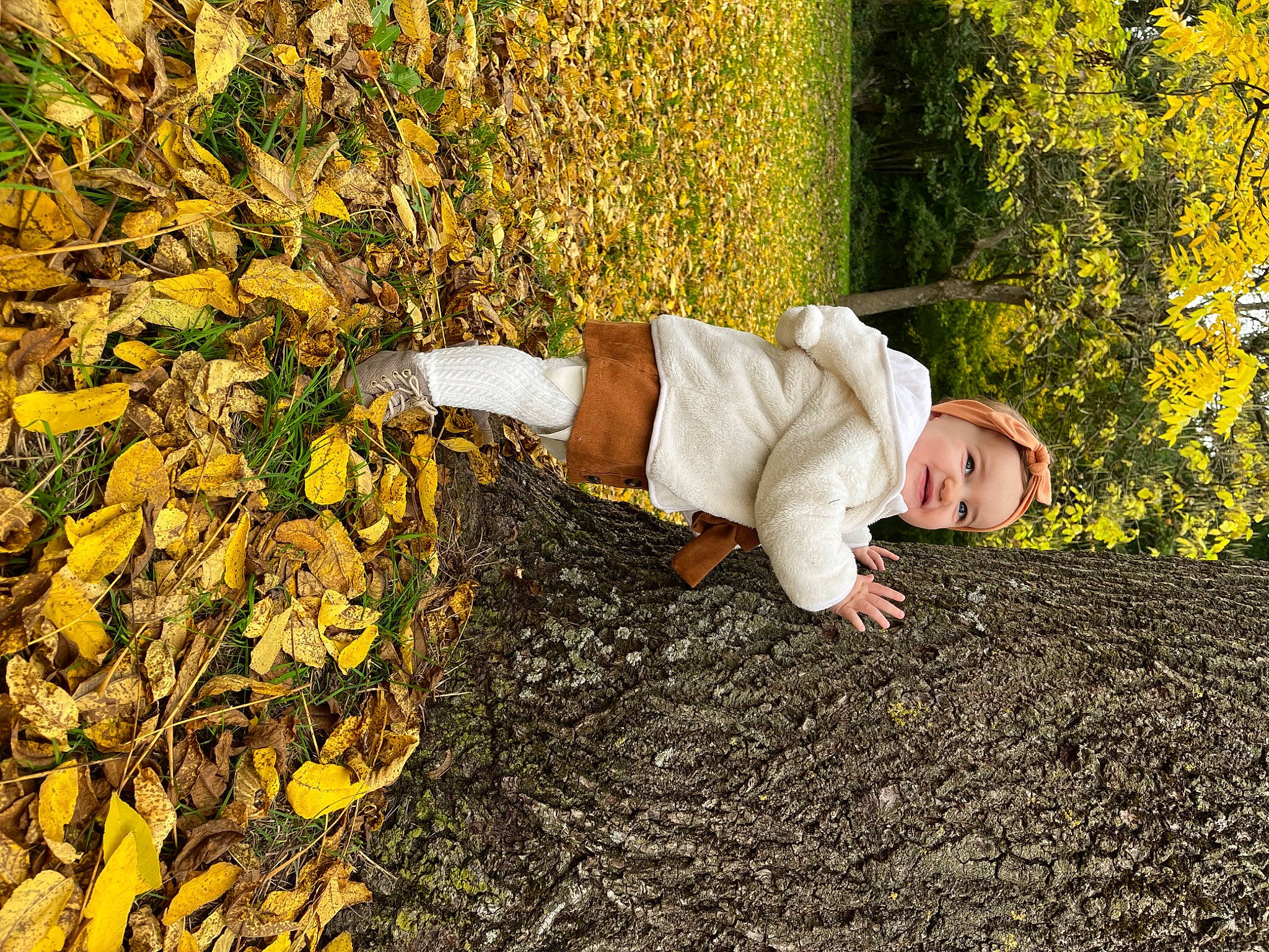 Mia a rejoint le concours — aidez-le/la à gagner de superbes lots ! child, deciduous, flooring, grass, groundcover, happy, headwear, human_leg, landscape, people_in_nature, person, plant, road_surface, shadow, soil, sunlight, tints_and_shades, toddler, tree, wood