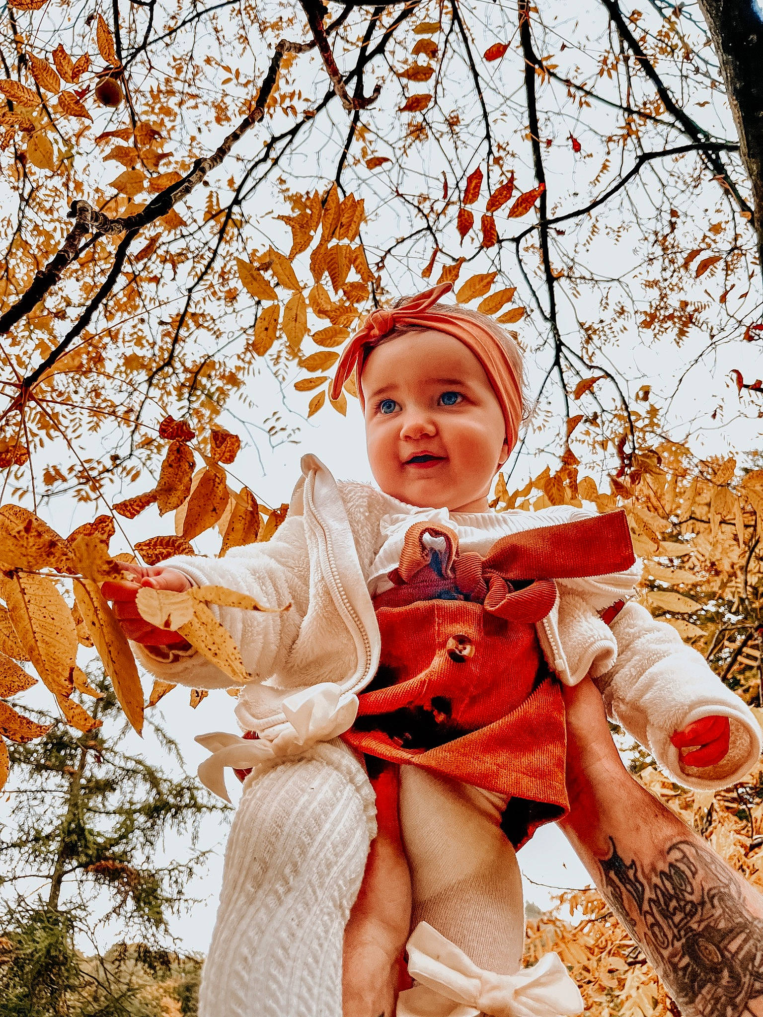 Mia participe au concours pour gagner de l'argent avec cette photo : autumn, baby, baby_toddler_clothing, child, deciduous, fun, grass, happy, headwear, leisure, peach, people_in_nature, person, plant, playing_with_kids, portrait_photography, recreation, sitting, smile, toddler