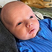 Spencer is registered to the contest to win money with this photo: baby, infant, blue_clothing, face, eyes, mouth, skin, head, dog, pet, fur, lying_down, indoor, blanket, couch, person, closeup, portrait, young_child, comfort