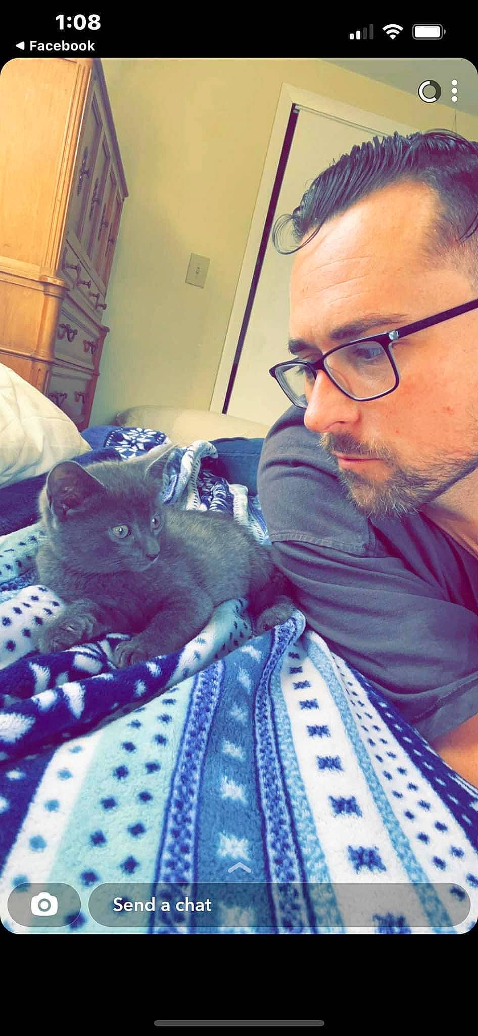 Jellie Bean is registered to the contest to win money with this photo: beard, bed, blue, carnivore, cat, comfort, electric_blue, eye, eyewear, felidae, forehead, glasses, happy, mouth, pattern, purple, skin, small_to_medium_sized_cats, vision_care, whiskers