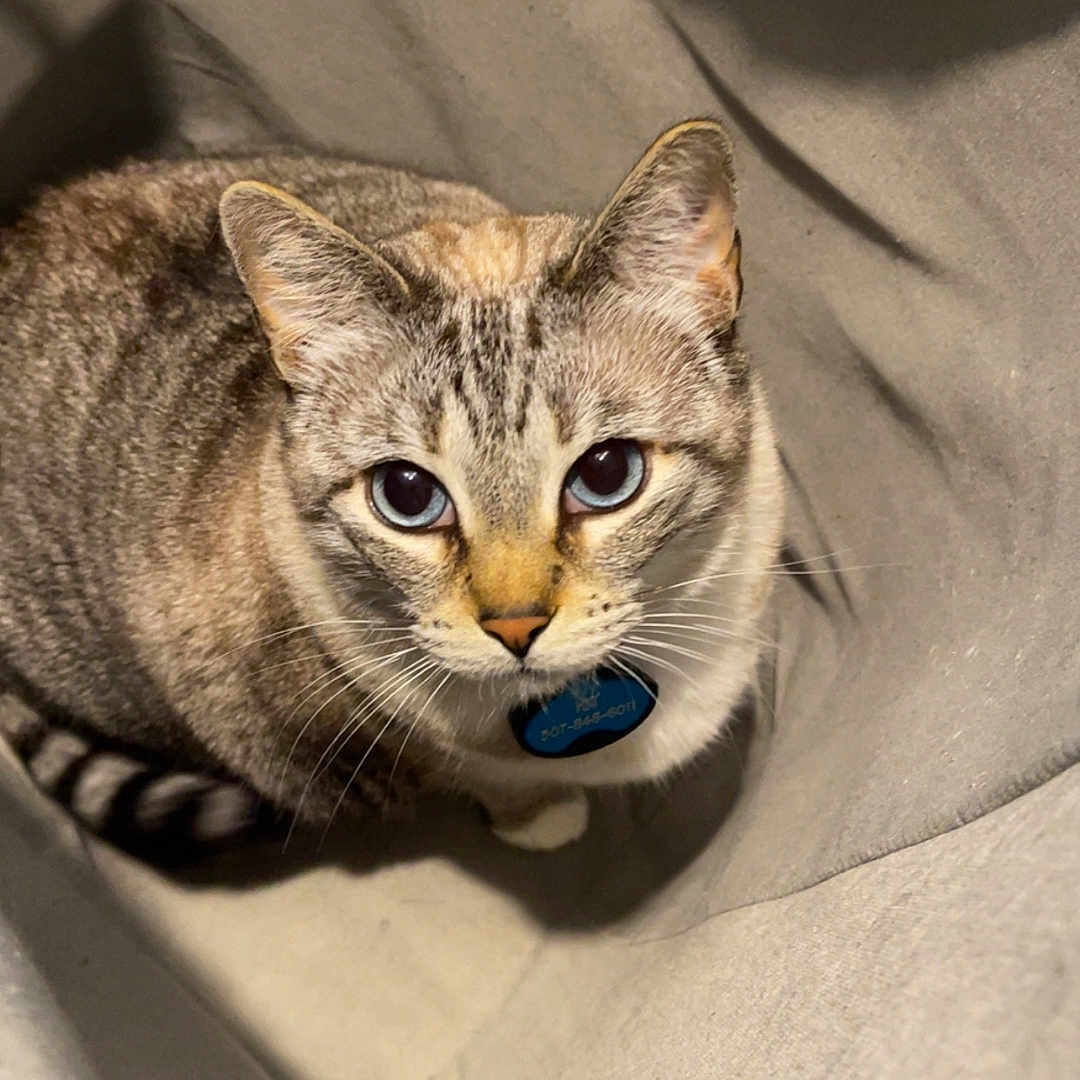Kit