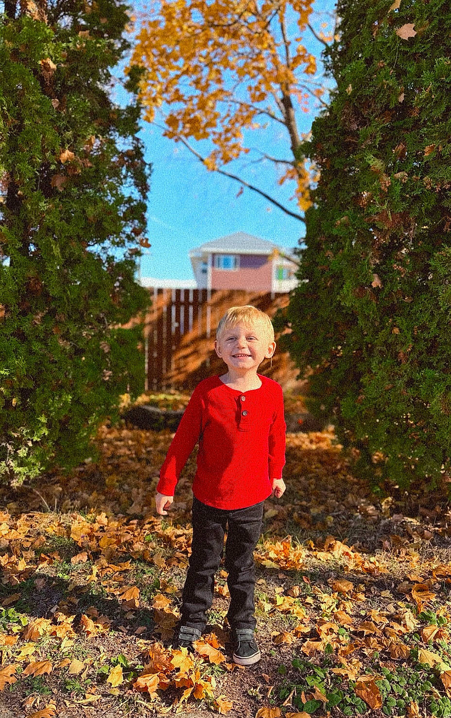 Castiel joined the competition — help win amazing prizes! branch, deciduous, forest, grass, happy, joy, landscape, leaf, natural_landscape, people_in_nature, person, plant, soil, standing, tints_and_shades, toddler, tree, trunk, twig, window