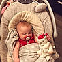 baby, baby_seat, blanket, child, comfort, cozy, cute, floor, indoors, infant, nursery, pacifier, peaceful, plush_toy, red_clothing, resting, sleeping, soft_toy, teddy_bear, wooden_floor