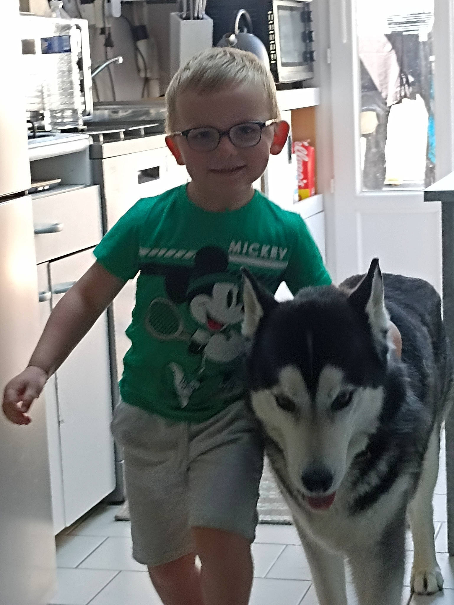 Daiko a rejoint le concours — aidez-le/la à gagner de superbes lots ! canis, carnivore, companion_dog, dog, dog_breed, eyewear, fur, glasses, personal_protective_equipment, recreation, room, shorts, siberian_husky, sled_dog, sleeve, t_shirt, top, vision_care, wolf, working_dog