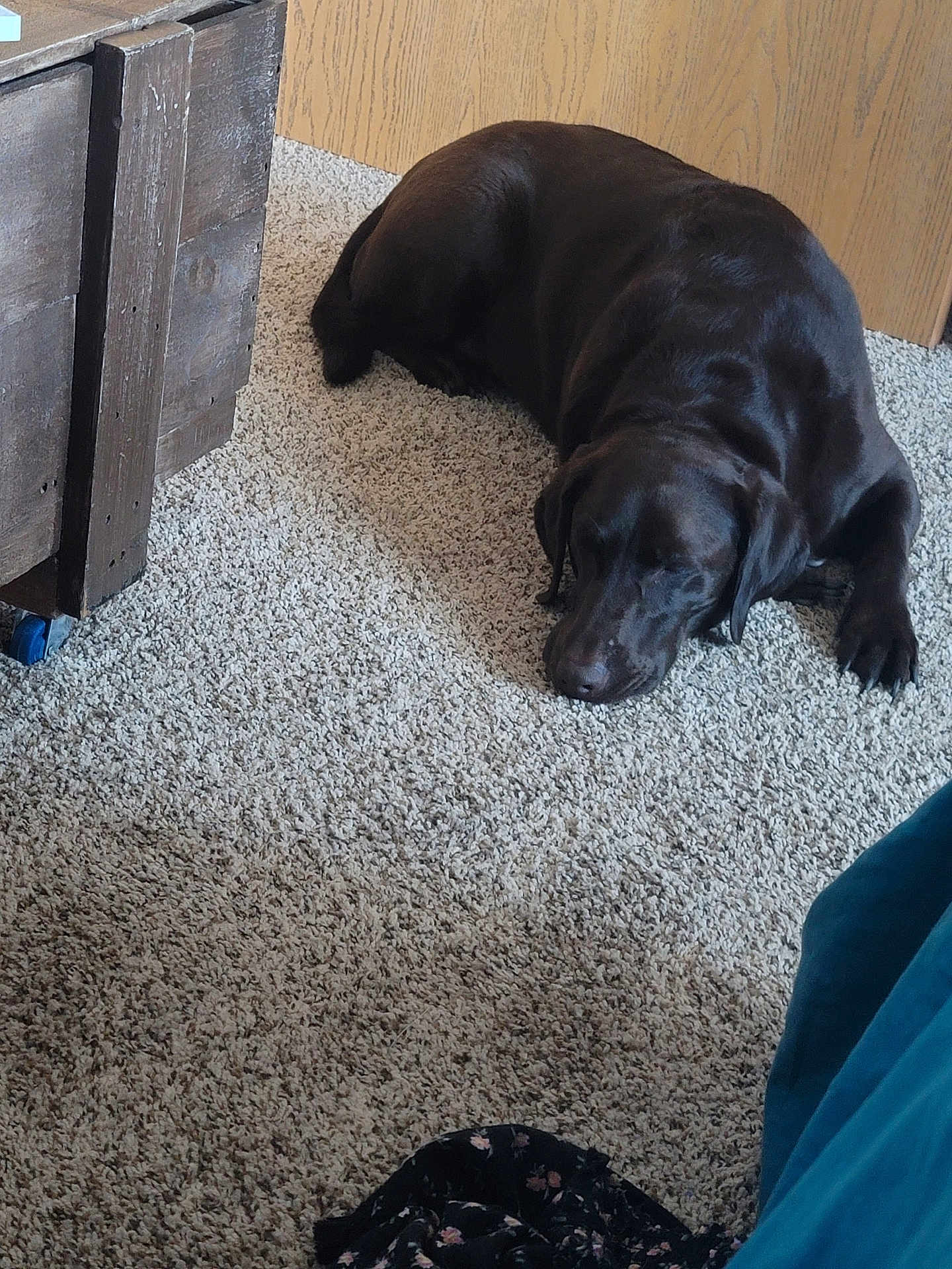 Mia