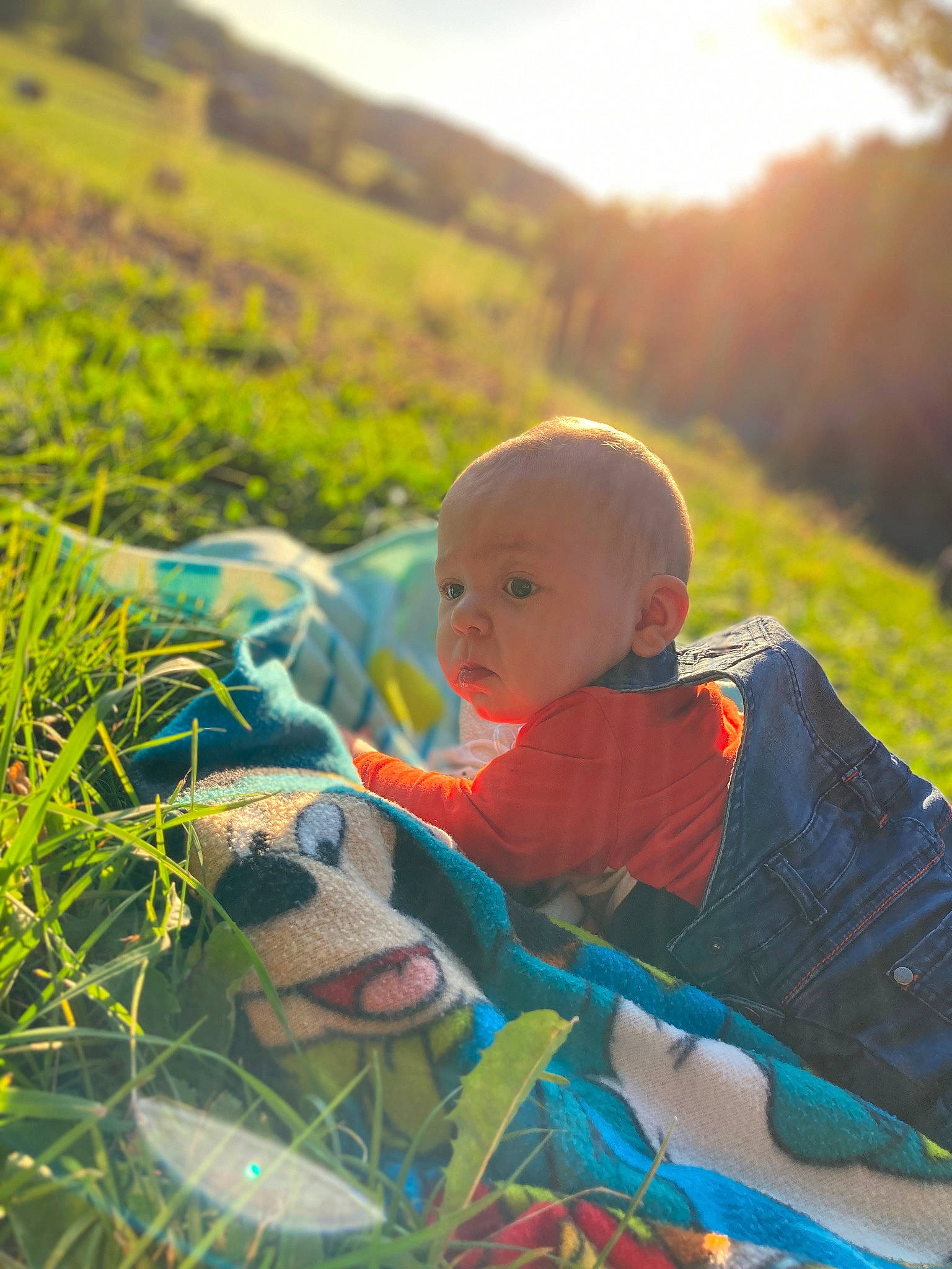 Benjamin participe au concours pour gagner de l'argent avec cette photo : baby, baby_toddler_clothing, fun, grass, grass_family, grassland, happy, landscape, leaf, leisure, light, meadow, morning, people_in_nature, person, plant, prairie, sky, sunlight, toddler