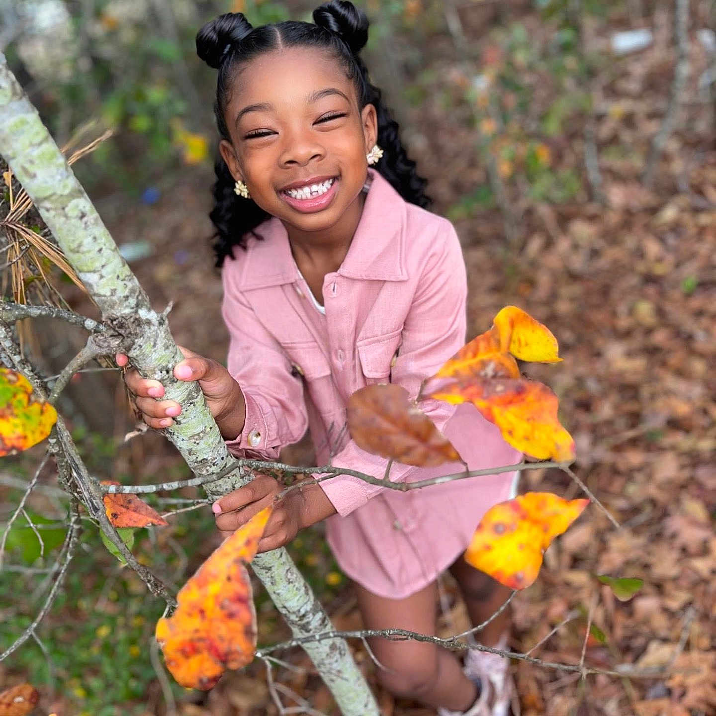 Paris Jones is registered to the contest to win money with this photo: autumn, blackhair, child, clothing, face, female, girl, hair, happy, head, leaf, outdoors, person, photography, plant, portrait, sleeve, smile, tree, vegetation