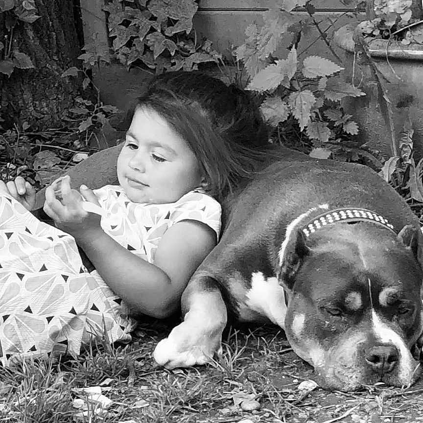 Athena a rejoint le concours — aidez-le/la à gagner de superbes lots ! animal, black_and_white, casual, child, collar, companion, cute, dog, foliage, grass, lying_down, nature, outdoor, peaceful, pet, portrait, relaxation, resting, tree, young_child
