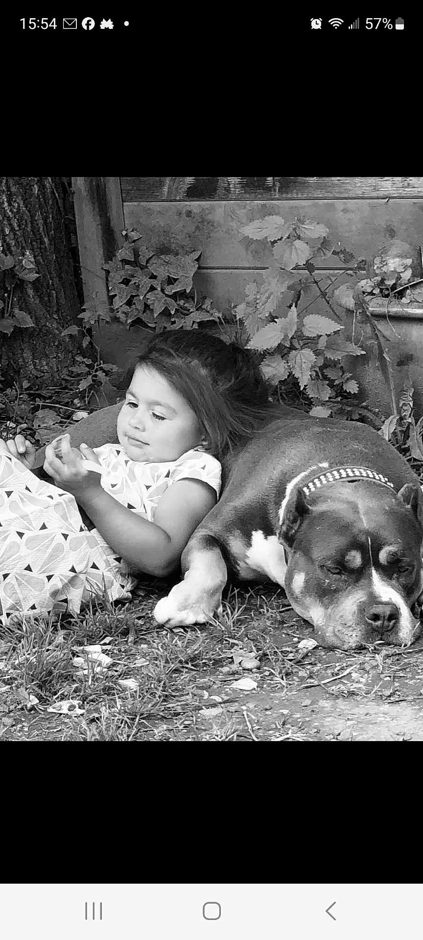 Athena a rejoint le concours — aidez-le/la à gagner de superbes lots ! child, dog, black_and_white, outdoor, grass, tree, foliage, resting, lying_down, pet, collar, nature, relaxation, cute, young_child, animal, companion, peaceful, portrait, casual