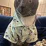cat, gray_cat, white_chest, shirt, clothing, snoopy_pattern, pet, indoor, blanket, fabric, cozy, wide_eyes, curious, seated, feline, domestic_animal, fur, whiskers, cute, portrait