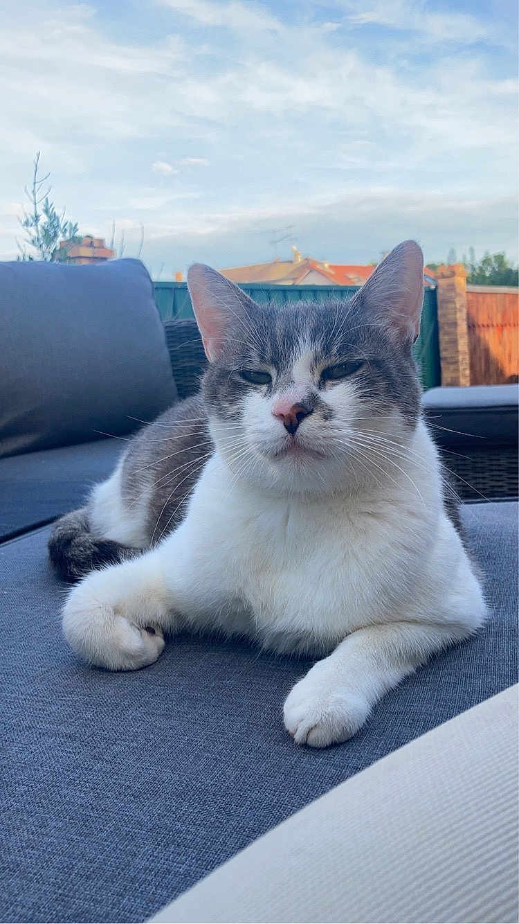 Roméo
