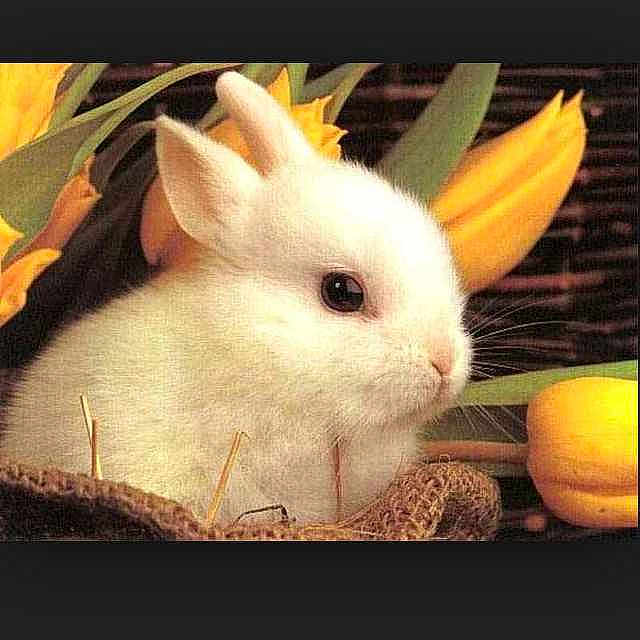 Christopher is registered to the contest to win money with this photo: