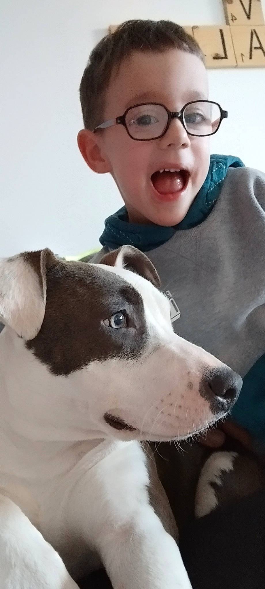 Melvyn participe au concours pour gagner de l'argent avec cette photo : carnivore, collar, companion_dog, dog, dog_breed, ear, eye, eyewear, fawn, gesture, glasses, happy, head, nose, person, snout, toddler, vision_care, whiskers, white