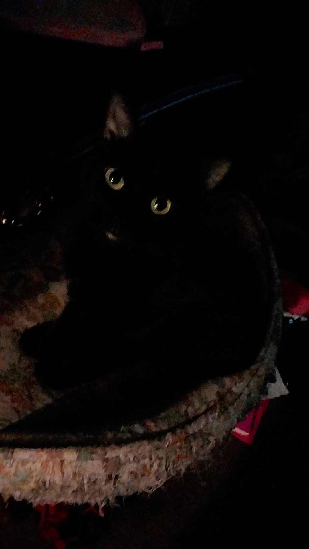 Salem