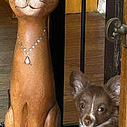 Max joined the competition — help win amazing prizes! puppy, dog, wooden_statue, cat_statue, floor, wood, necklace, carving, pet, animal, brown, white, cute, indoor, door, door_handle, decor, shiny, eyes, face