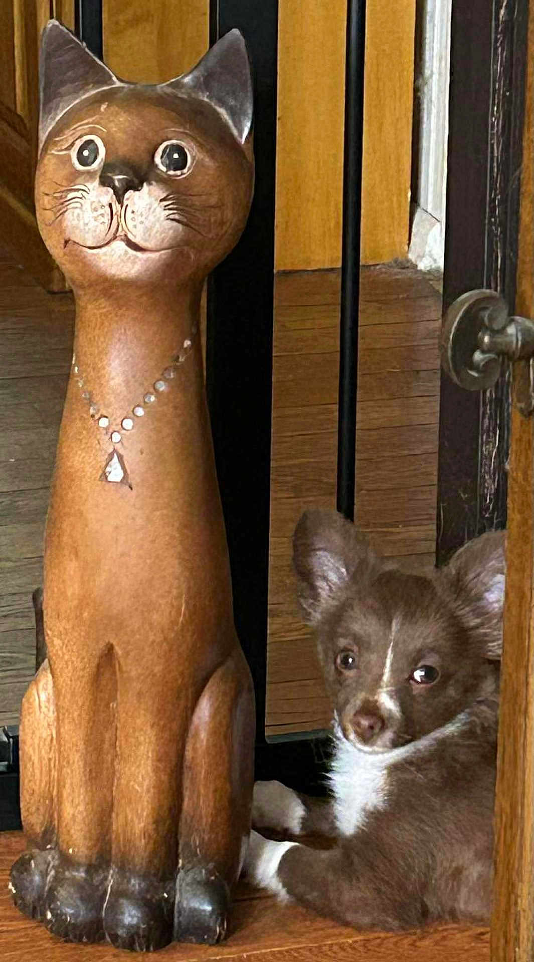 Max joined the competition — help win amazing prizes! puppy, dog, wooden_statue, cat_statue, floor, wood, necklace, carving, pet, animal, brown, white, cute, indoor, door, door_handle, decor, shiny, eyes, face