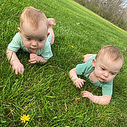 grass, plant, face, head, person, photography, portrait, field, grassland, nature, outdoors, baby, lawn, flower, petal, vegetation, crawling, daisy, yard, park