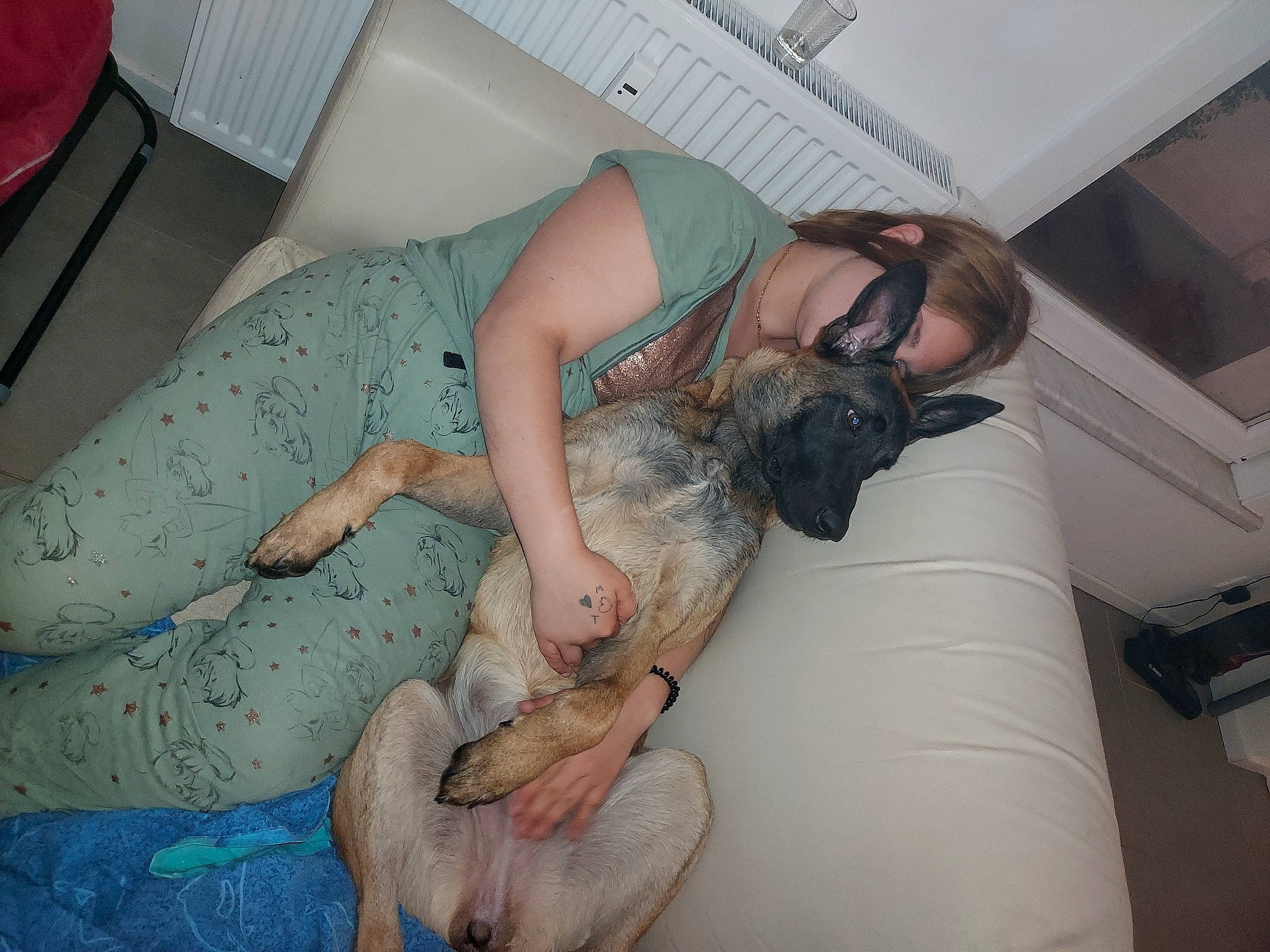 Athena participe au concours pour gagner de l'argent avec cette photo : canidae, comfort, companion_dog, dog_breed, eyewear, fawn, flesh, flooring, foot, fun, fur, human_leg, knee, linens, nap, room, sleep, sporting_group, sunglasses, thigh