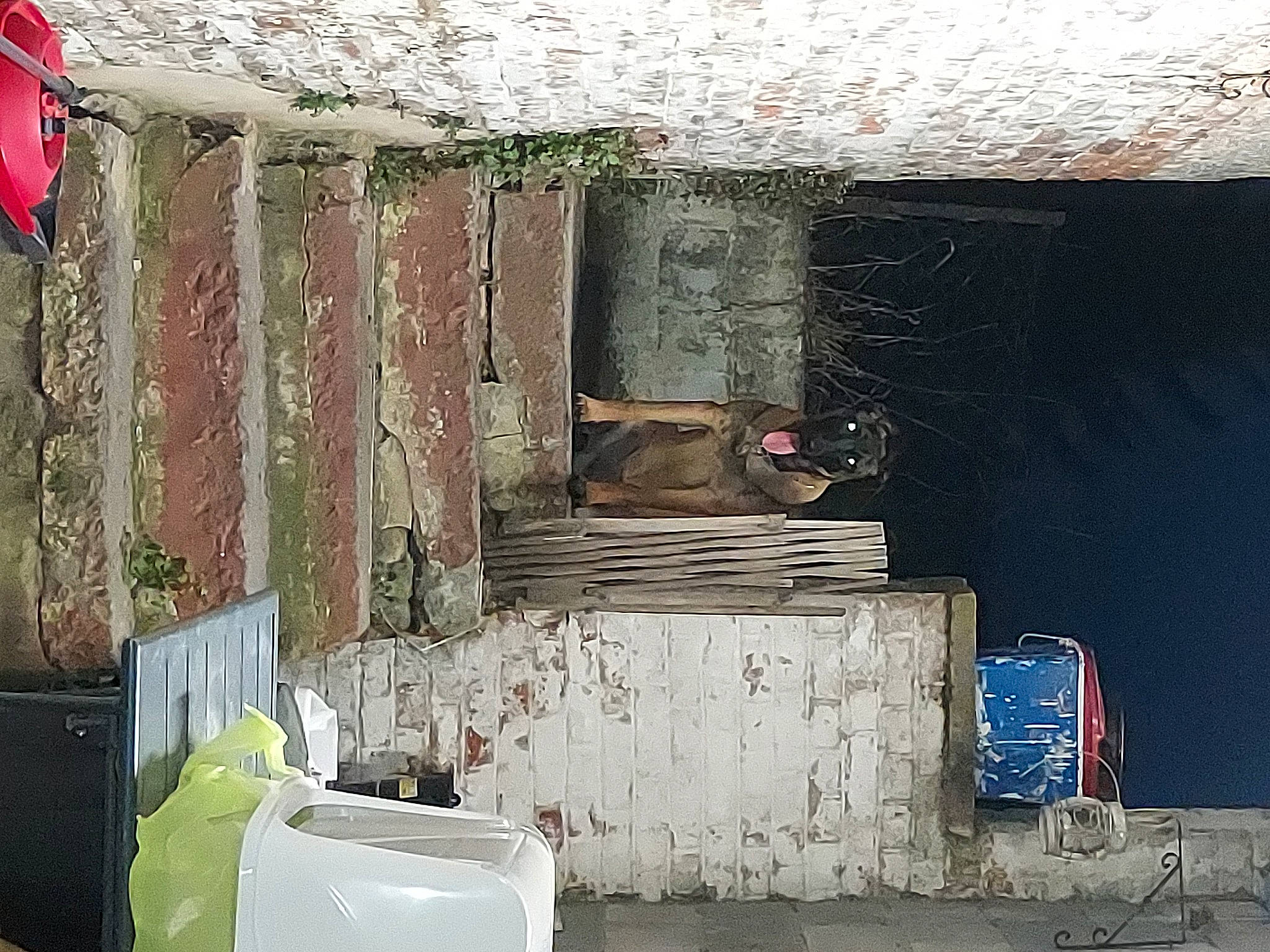 Athena participe au concours pour gagner de l'argent avec cette photo : architecture, brick, brickwork, building, concrete, door, gas, house, linens, living_room, metal, paint, property, rectangle, room, textile, tints_and_shades, wall, window, wood