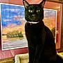black_cat, cat, pet, indoor, portrait, animal, feline, collar, perch, painting, framed_art, green_eyes, fur, sitting, looking_at_camera, decor, wall, furniture, household, close_up