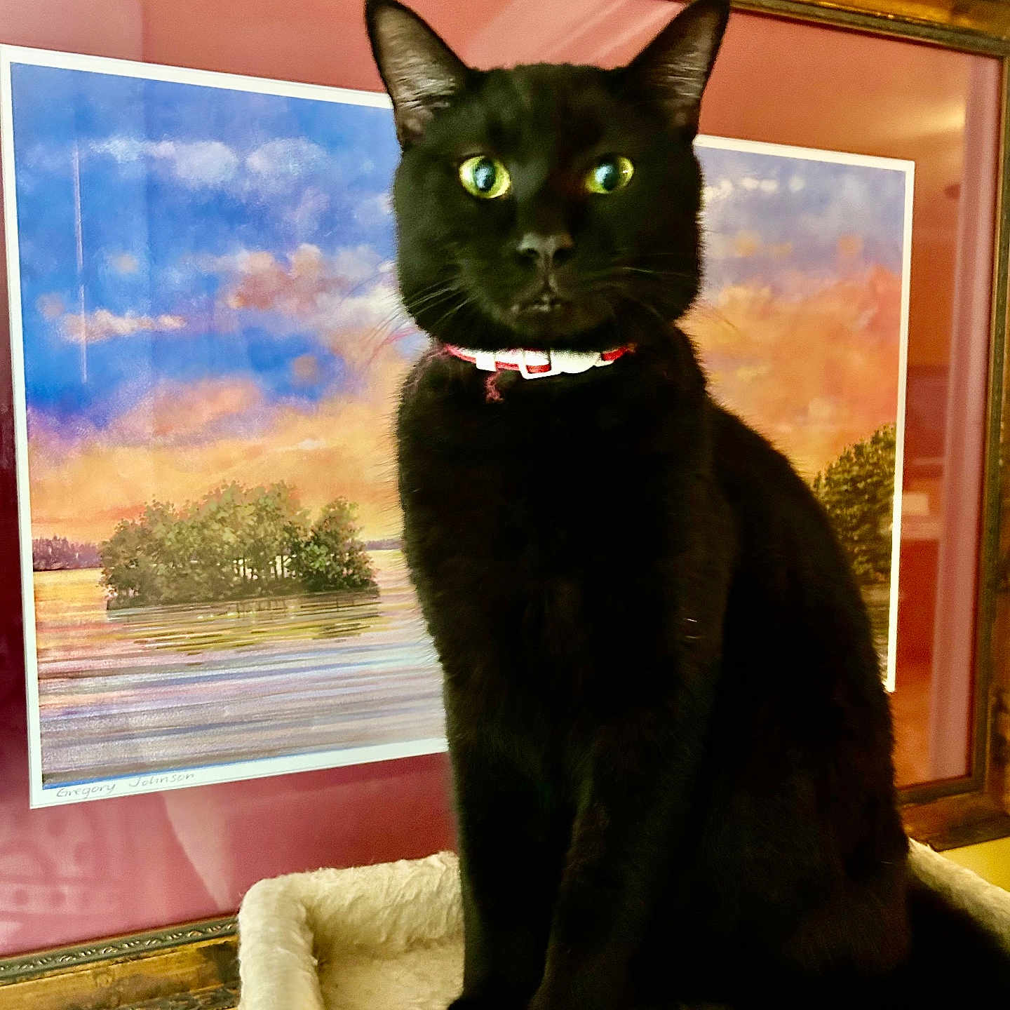 Binx is registered to the contest to win money with this photo: animal, black_cat, cat, close_up, collar, decor, feline, framed_art, fur, furniture, green_eyes, household, indoor, looking_at_camera, painting, perch, pet, portrait, sitting, wall