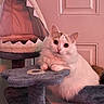 cat, white_cat, fluffy, pet, feline, golden_eyes, sitting, lounging, cat_tree, scratching_post, indoor, home, door, furniture, soft_fur, portrait, close_up, alert, cute, cozy