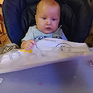 Kellyo a rejoint le concours — aidez-le/la à gagner de superbes lots ! baby, child, high_chair, chicco, indoor, cloth, bib, dog, pet, furniture, person, table, curious, seat, floor, wood, tile, hand, face, expression
