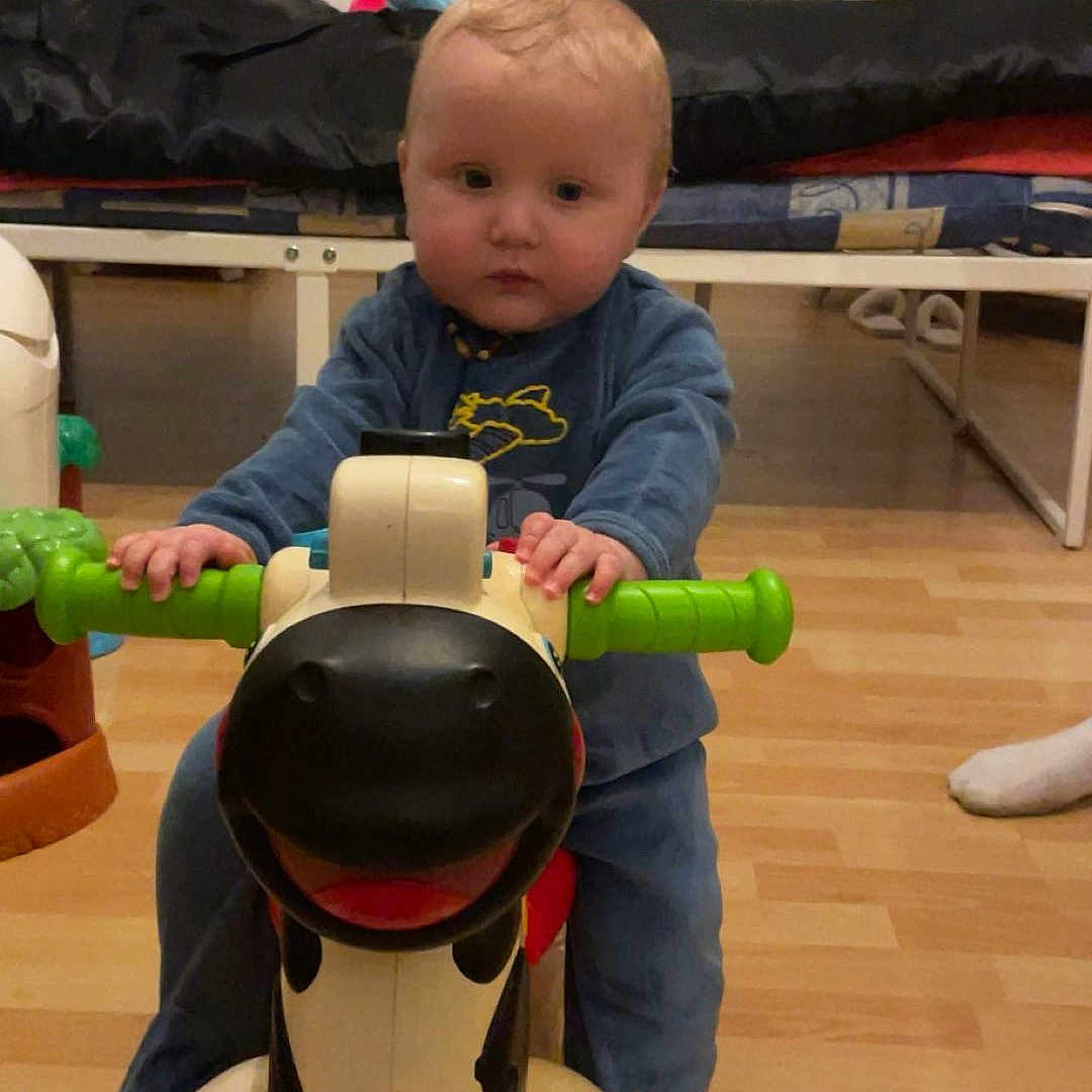 Kellyo participe au concours pour gagner de l'argent avec cette photo : baby, bed, blanket, blue_clothing, child, cow, cute, face, floor, footwear, furniture, hands, indoor, person, play, ride_on_toy, television, toy, wooden_floor, young