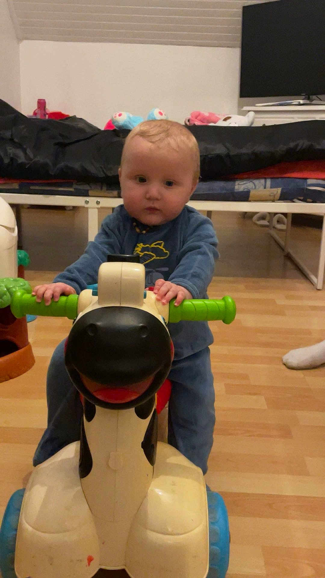 Kellyo participe au concours pour gagner de l'argent avec cette photo : baby, bed, blanket, blue_clothing, child, cow, cute, face, floor, footwear, furniture, hands, indoor, person, play, ride_on_toy, television, toy, wooden_floor, young